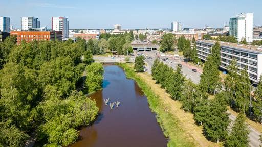 Photo of the Headshots Studio 'Valokuvaaja Petteri Löppönen'