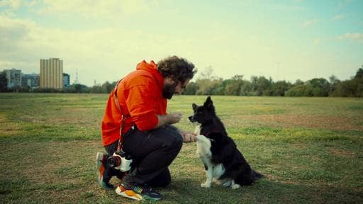 Photo of the Headshots Studio 'Il fotografo dei cani'